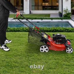 140CC High Wheel FWD Gas Walk Behind Self Propelled Lawn Mower 1.6L 6HP