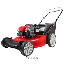 140Cc 550Ex Series Briggs & Stratton Engine 2In1 Gas Walk behind Push Lawn Mower