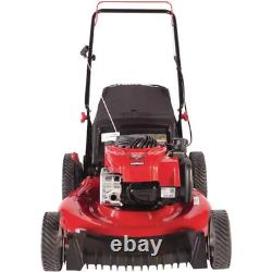 140Cc 550Ex Series Briggs & Stratton Engine 2In1 Gas Walk behind Push Lawn Mower