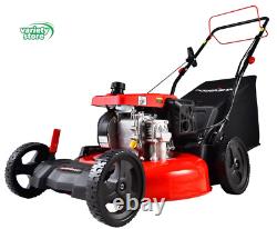 209CC Engine 21 3-In-1 Gas Self Propelled Lawn Mower DB2194SH with 8 Rear Whee