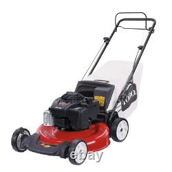 21 In. Briggs and Stratton Low Wheel Gas Walk behind Self Propelled Lawn Mower