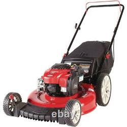 21 inch 140cc 550ex Briggs & Stratton Engine Gas Walk Behind Push Lawn Mower