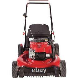 21 inch 140cc 550ex Briggs & Stratton Engine Gas Walk Behind Push Lawn Mower