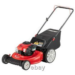 21 inch 140cc 550ex Briggs & Stratton Engine Gas Walk Behind Push Lawn Mower