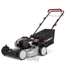 22 In. 140 Cc Briggs & Stratton Walk behind Gas Self-Propelled Lawn Mower with F