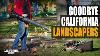 50 000 Landscapers And Gardeners Threatened By The New California Law With Job Loss Jay Martinez