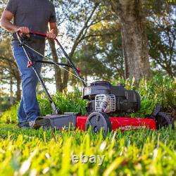Lawn Mower Briggs and Stratton 20 125cc Gas Push Side Discharge Lawn Mower