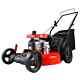 Powersmart 209cc Engine 21 3-in-1 Gas Powered Push Lawn Mower Db2194ph With 8