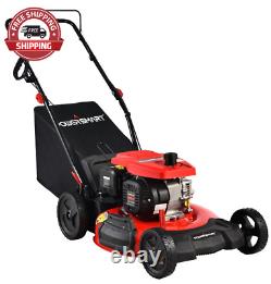 Powersmart 209CC Engine 21 3-In-1 Gas Powered Push Lawn Mower DB2194PH with 8