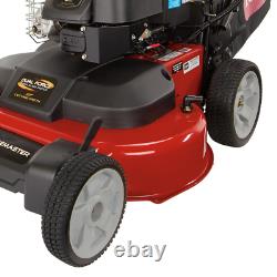 Timemaster 30 In. Briggs Stratton Personal Pace Self-Propelled Walk-Behind Gas