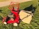 Troy Bilt Chipper Shredder Lawn Vacuum 5hp Model 47282 Self Propelled
