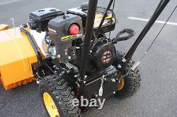 Balayeuse de pelouse, de neige et de gazon à traction arrière de 6,5 HP avec collecteur de poussière et BROSSE SUPPLÉMENTAIRE