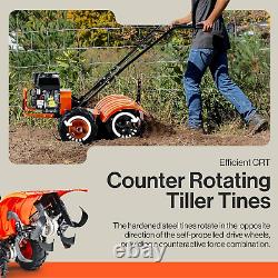 Superhandy Motobineuse à dents arrière 7HP, Largeur de 16 pouces et Profondeur de 12 pouces, Cultivateur de jardin